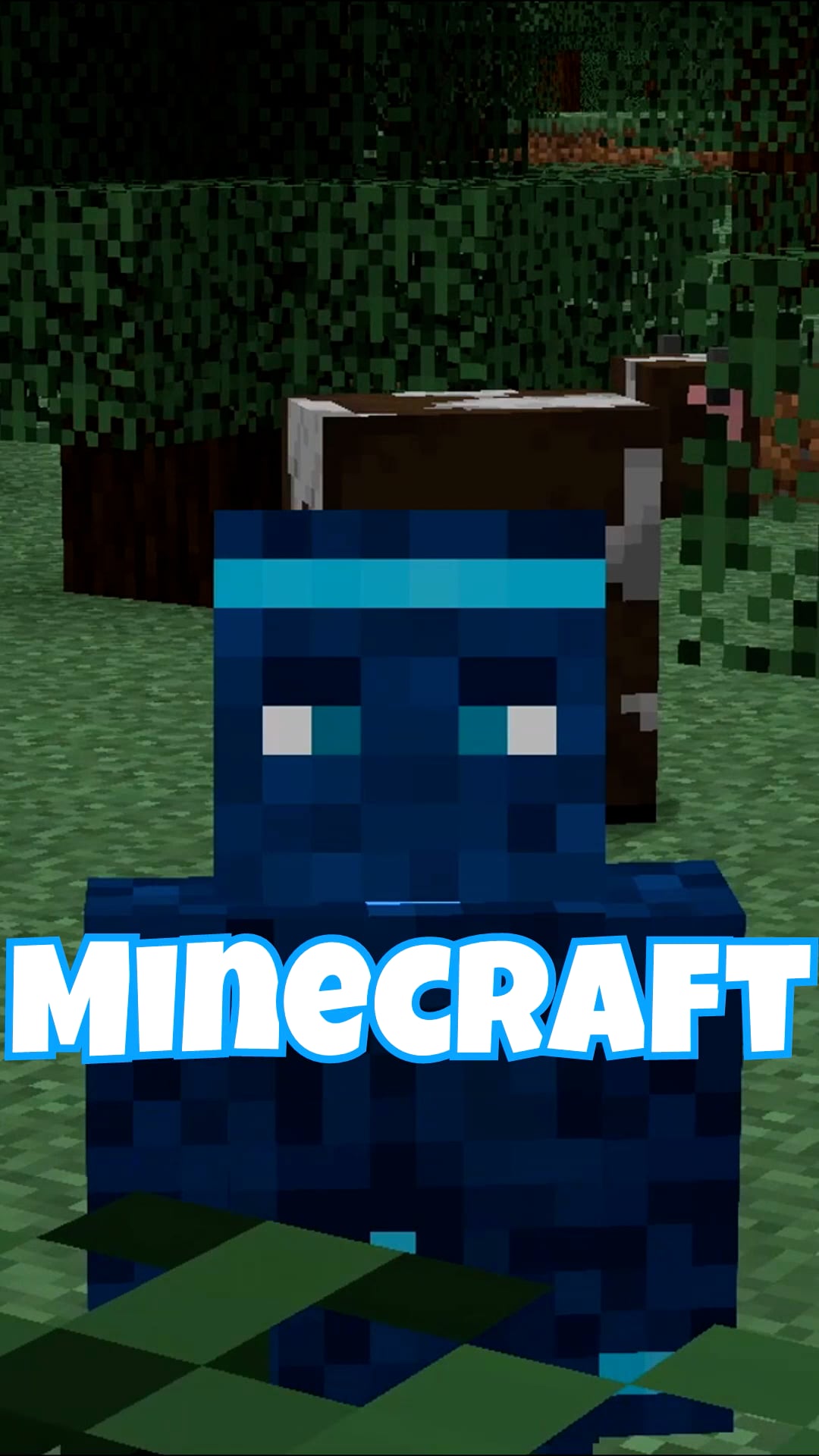 Minecraft.mp4 on Vimeo
