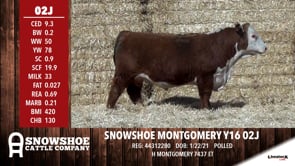 Lot #02J - SNOWSHOE MONTGOMERY Y16 02J