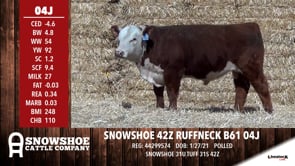 Lot #04J - SNOWSHOE 42Z RUFFNECK B61 04J