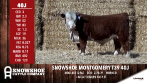 Lot #40J - SNOWSHOE MONTGOMERY T39 40J