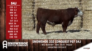 Lot #54J - SNOWSHOE 33Z CONQUEST F07 54J