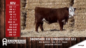 Lot #57J - SNOWSHOE 33Z CONQUEST B51 57J