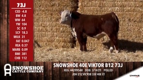 Lot #73J - SNOWSHOE 40E VIKTOR B12 73J