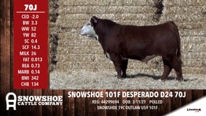 Lot #70J - SNOWSHOE 101F DESPERADO D24 70J