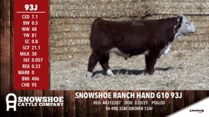 Lot #93J - SNOWSHOE RANCH HAND G10 93J