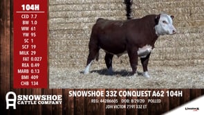 Lot #104H - SNOWSHOE 33Z CONQUEST A62 104H