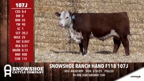 Lot #107J - SNOWSHOE RANCH HAND F118 107J