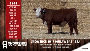 Lot #124J - SNOWSHOE 101F OUTLAW B43 124J