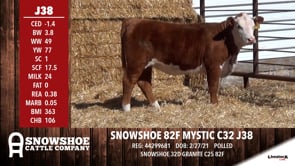Lot #J38 - SNOWSHOE 82F MYSTIC C32 J38