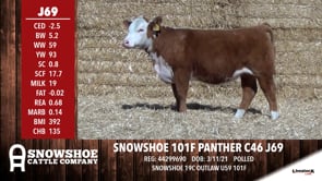 Lot #J69 - SNOWSHOE 101F PANTHER C46 J69