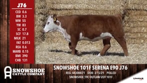 Lot #J76 - SNOWSHOE 101F SERENA E90 J76