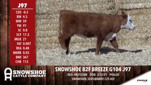 Lot #J97 - SNOWSHOE 82F BREEZE G104 J97