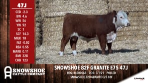 Lot #47J - SNOWSHOE 82F GRANITE E75 47J