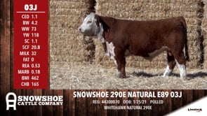 Lot #03J - SNOWSHOE 290E NATURAL E89 03J