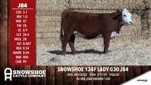 Lot #J84 - SNOWSHOE 134F LADY G30 J84