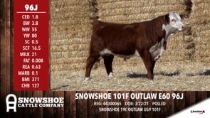 Lot #96J - SNOWSHOE 101F OUTLAW E60 96J