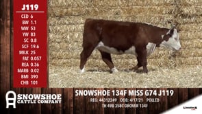 Lot #J119 - SNOWSHOE 134F MISS G74 J119