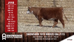 Lot #J115 - SNOWSHOE 101F BREEZE E86 J115