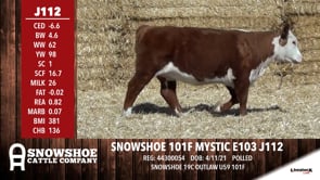 Lot #J112 - SNOWSHOE 101F MYSTIC E103 J112