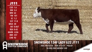 Lot #J111 - SNOWSHOE 134F LADY G22 J111