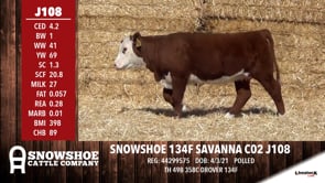 Lot #J108 - SNOWSHOE 134F SAVANNA C02 J108