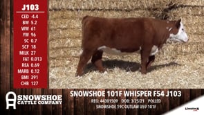 Lot #J103 - SNOWSHOE 101F WHISPER F54 J103