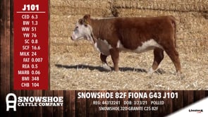 Lot #J101 - SNOWSHOE 82F FIONA G43 J101