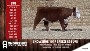 Lot #J98 - SNOWSHOE 101F BREEZE E98 J98