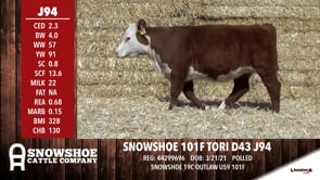 Lot #J94 - SNOWSHOE 101F TORI D43 J94