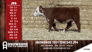 Lot #J94 - SNOWSHOE 101F TORI D43 J94