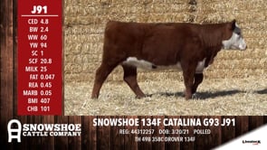 Lot #J91 - SNOWSHOE 134F CATALINA G93 J91