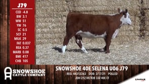 Lot #J79 - SNOWSHOE 40E SELENA U06 J79