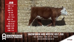 Lot #J58 - SNOWSHOE 40E MYSTIC B57 J58