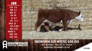 Lot #J50 - SNOWSHOE 82F MYSTIC G50 J50
