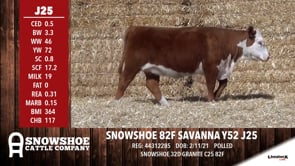 Lot #J25 - SNOWSHOE 82F SAVANNA Y52 J25