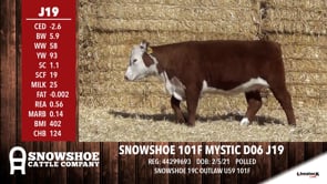 Lot #J19 - SNOWSHOE 101F MYSTIC D06 J19