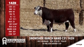 Lot #142H - SNOWSHOE RANCH HAND C31 142H