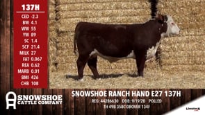 Lot #137H - SNOWSHOE RANCH HAND E27 137H