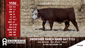 Lot #113J - SNOWSHOE RANCH HAND G61 113J
