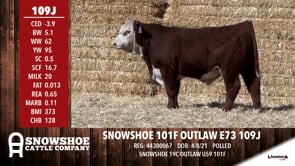 Lot #109J - SNOWSHOE 101F OUTLAW E73 109J