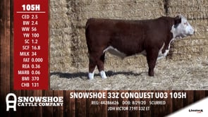 Lot #105H - SNOWSHOE 33Z CONQUEST U03 105H