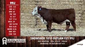 Lot #99J - SNOWSHOE 101F OUTLAW F21 99J