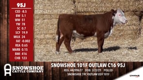 Lot #95J - SNOWSHOE 101F OUTLAW C16 95J