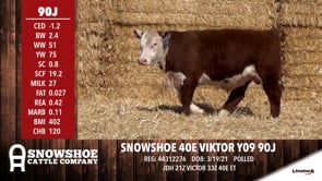 Lot #90J - SNOWSHOE 40E VIKTOR Y09 90J