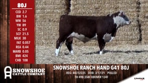 Lot #80J - SNOWSHOE RANCH HAND G41 80J