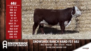 Lot #68J - SNOWSHOE RANCH HAND F51 68J