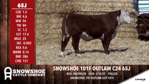 Lot #65J - SNOWSHOE 101F OUTLAW C24 65J