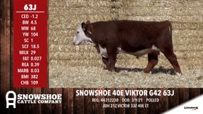 Lot #63J - SNOWSHOE 40E VIKTOR G42 63J
