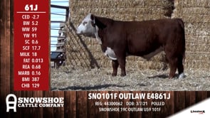 Lot #61J - SNOWSHOE OUTLAW E4861J