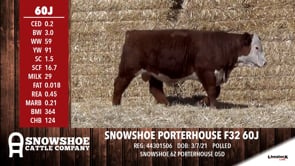 Lot #60J - SNOWSHOE PORTERHOUSE F32 60J